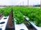 20150713_165301(0)